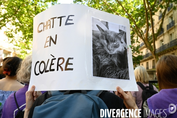 Manifestation féministe contre l extreme droite, à Paris