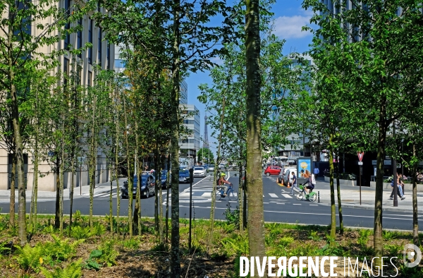 La fôret urbaine de la place de Catalogne