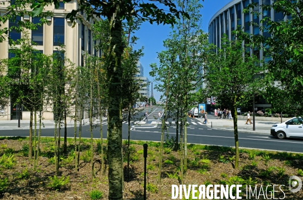 La fôret urbaine de la place de Catalogne
