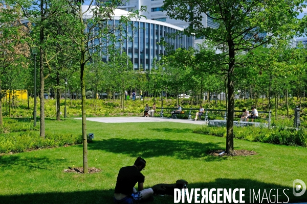 La fôret urbaine de la place de Catalogne