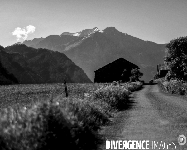 L envers de mon Hiver # 5