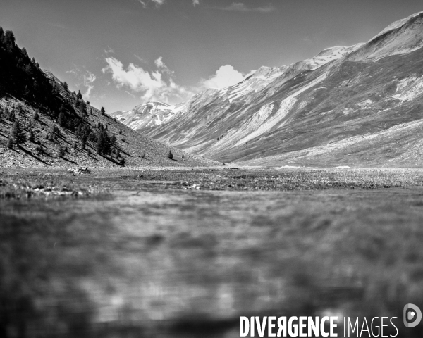 L envers de mon Hiver # 5