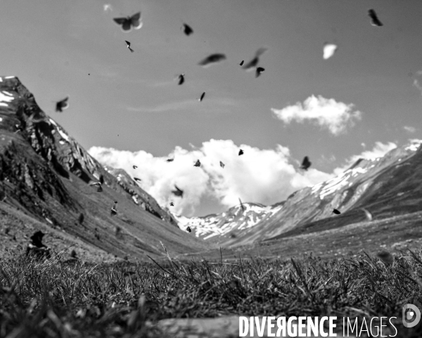 L envers de mon Hiver # 5