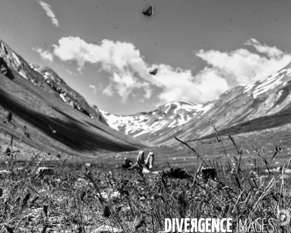 L envers de mon Hiver # 5