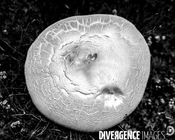 L envers de mon Hiver # 5