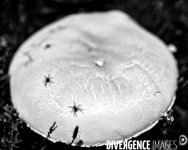 L envers de mon Hiver # 5