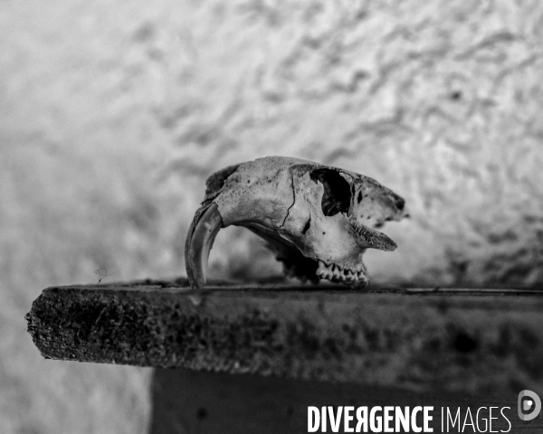 L envers de mon Hiver # 5
