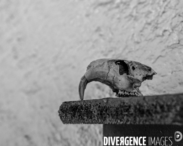 L envers de mon Hiver # 5