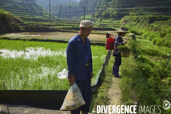 Chine, la minorité dong de Zhaoxing face au tourisme