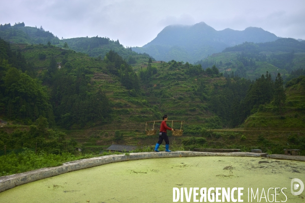 Chine, la minorité dong de Zhaoxing face au tourisme