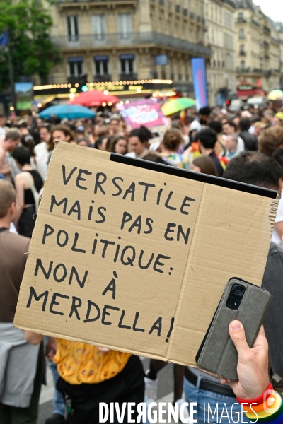 Marche des fiertés LGBT+ 2024, PARIS. Gay Pride 2024