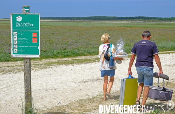 En baie de Somme