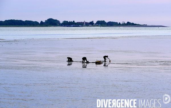En baie de Somme