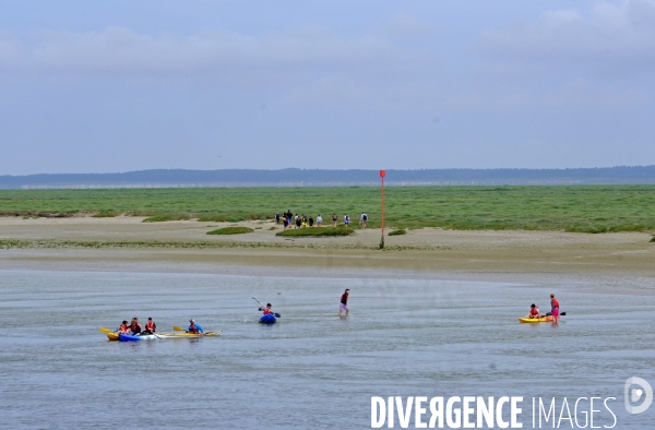 En baie de Somme