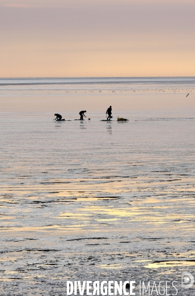 En baie de Somme