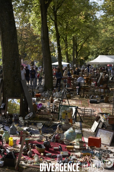 Braderie de lille