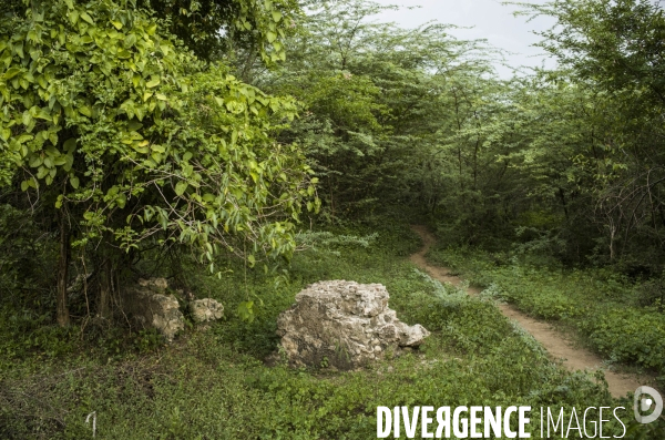 Des haitiens franchissent illegalement la frontiere avec la republique dominicaine.