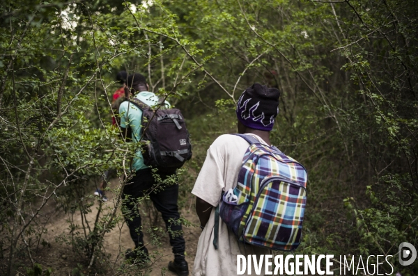 Des haitiens franchissent illegalement la frontiere avec la republique dominicaine.