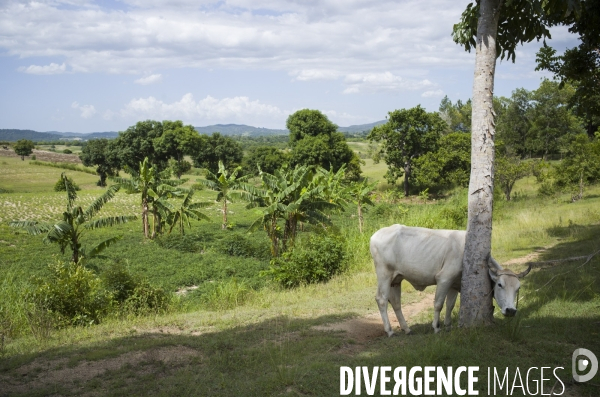 Frontiere entre haiti et la republique dominicaine, separee par un mur.