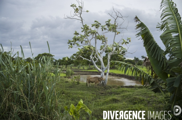 Frontiere entre haiti et la republique dominicaine, separee par un mur.