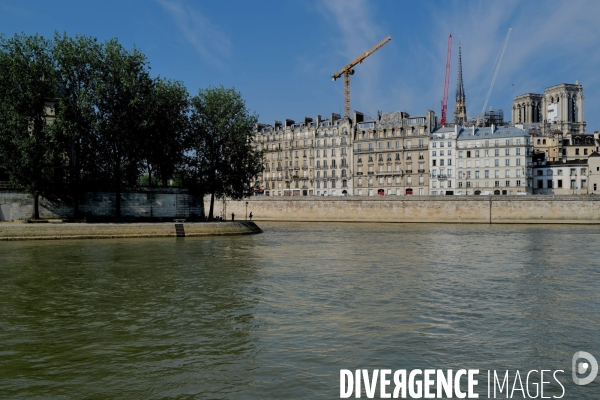 La flèche de Notre-Dame