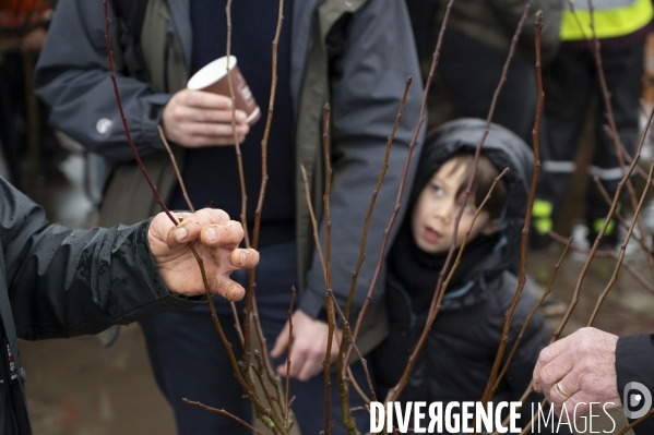 J adopte un arbre