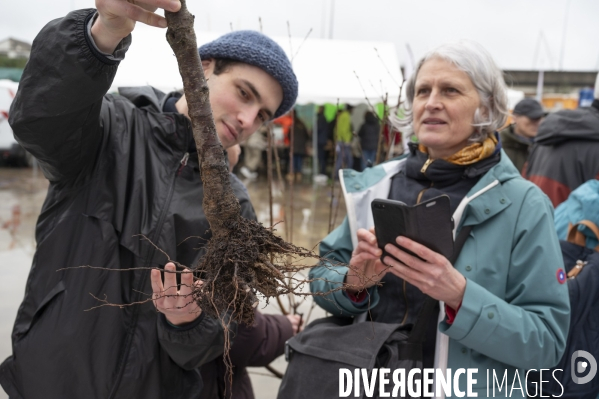 J adopte un arbre
