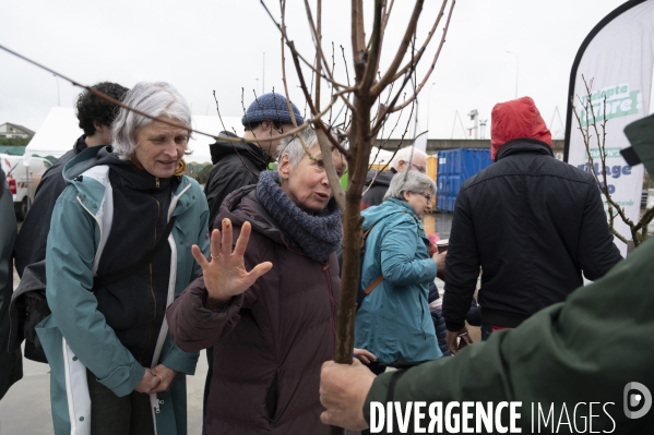 J adopte un arbre