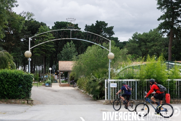 Cyclotourisme en bord de Loire