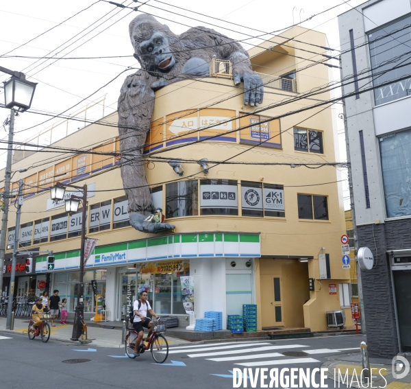 Vu a tokyo juillet 2024