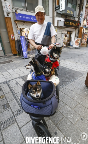 Vu a tokyo juillet 2024