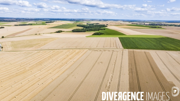 Avant les moissons