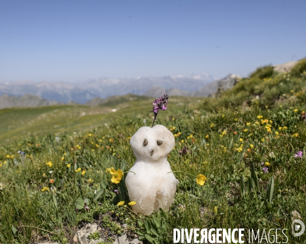 Canicule en Altitude