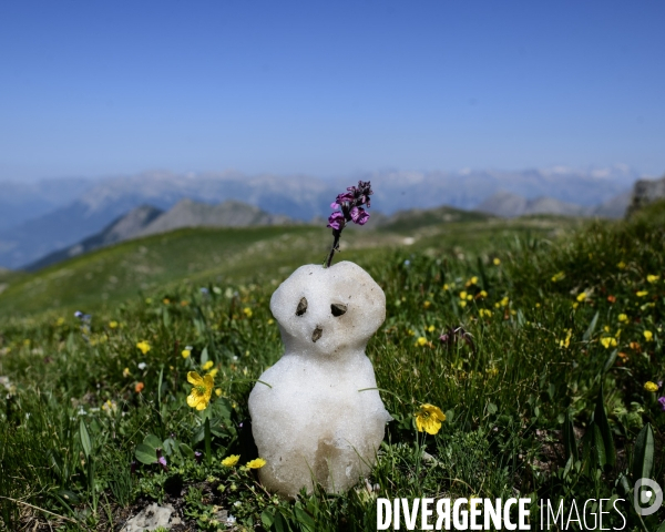 Canicule en Altitude