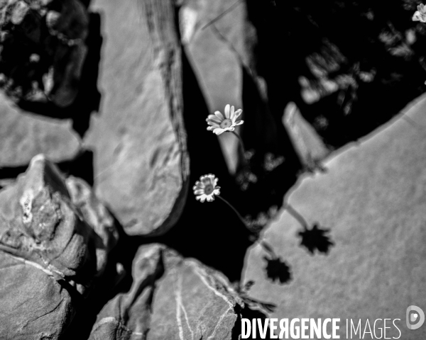 L envers de mon hiver # 8