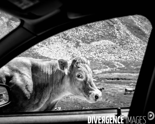 L envers de mon hiver # 8