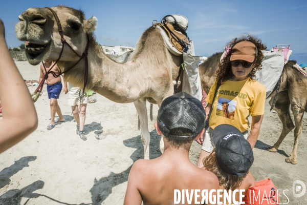 Des dromadaires à la plage