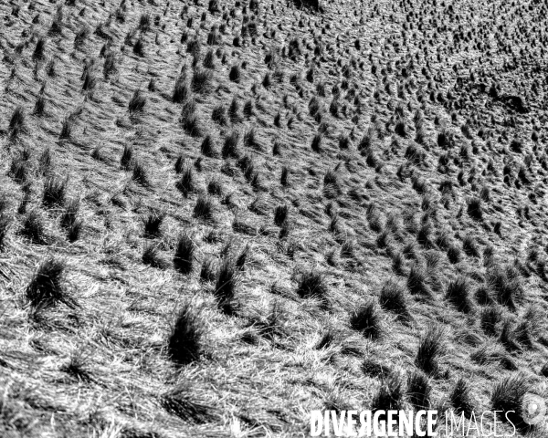 L envers de mon Hiver # 9