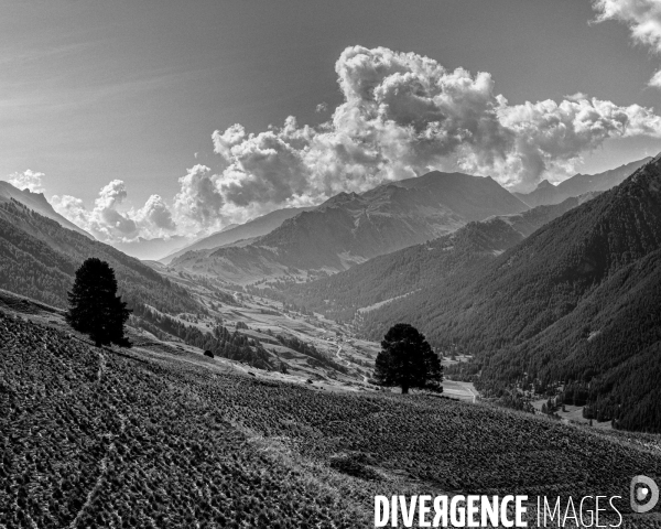 L envers de mon Hiver # 9