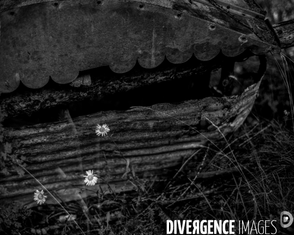 L envers de mon Hiver # 9
