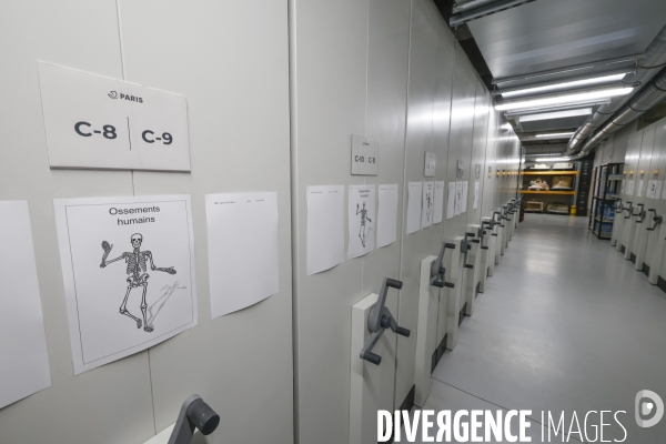 Les reserves du pole archeologique de la ville de paris