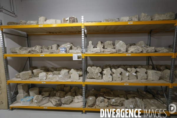 Les reserves du pole archeologique de la ville de paris