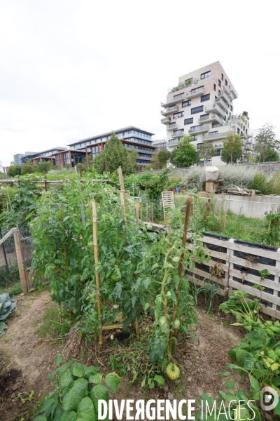 Saint-ouen-sur-seine