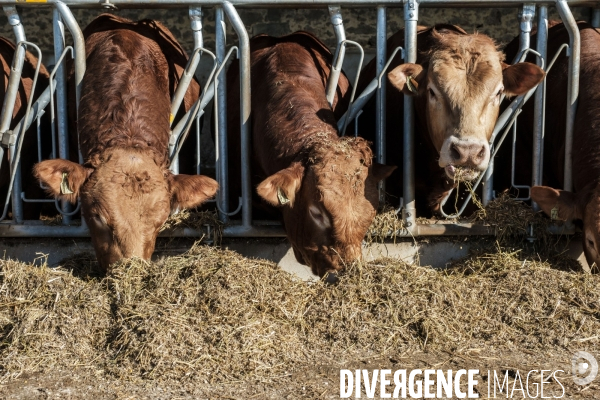 Unite de methanisation agricole produisant du biogaz a la Ferme d Arcy
