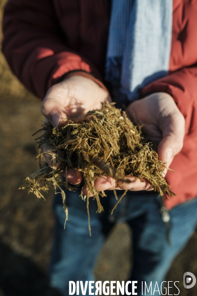 Unite de methanisation agricole produisant du biogaz a la Ferme d Arcy