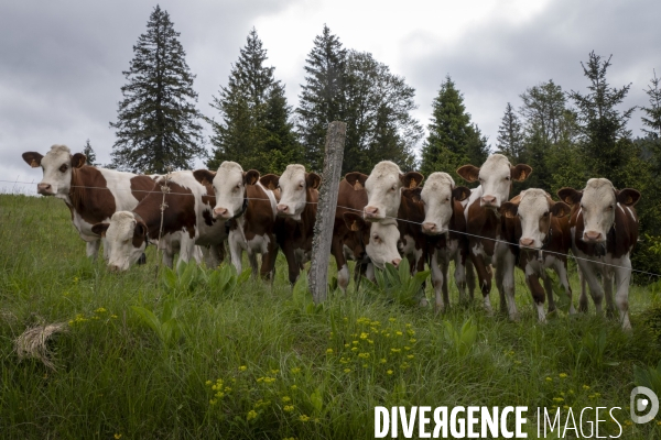 Choses Vues 2024/02 Le JUra