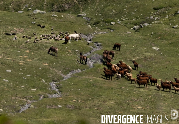 Choses Vues 2024/02 Vallée d Ossau