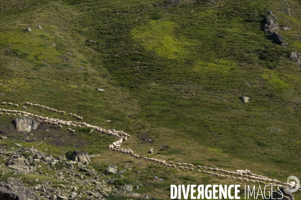 Choses Vues 2024/02 Vallée d Ossau