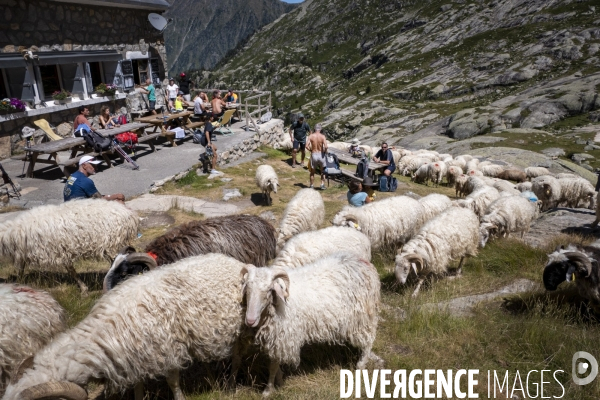 Choses Vues 2024/02 Le Larribet