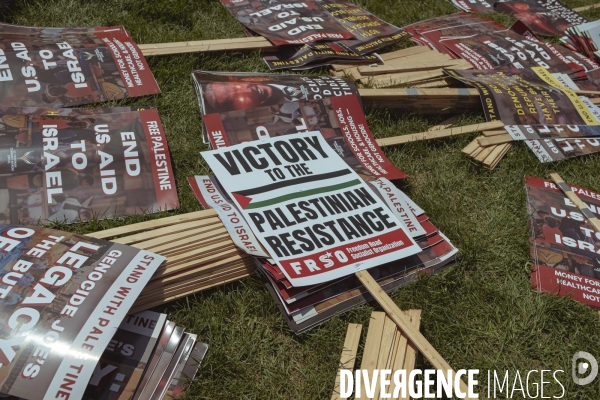 Manifestation Israel-Palestine-Gaza en marge de la convention démocrate à Chicago.
